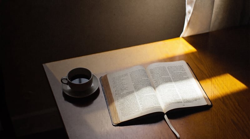 An open Bible in warm sunlight